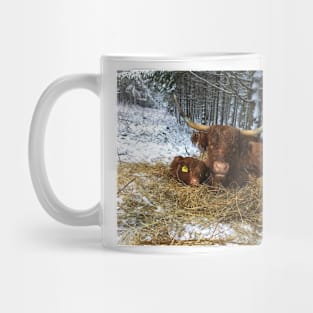 Scottish Highland Cattle Calf and Cow 1604 Mug